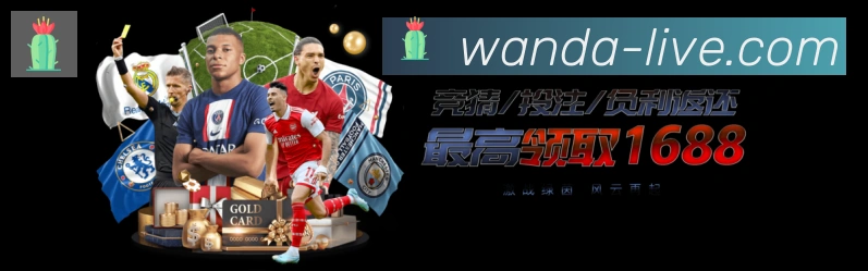 多媒体互动体验